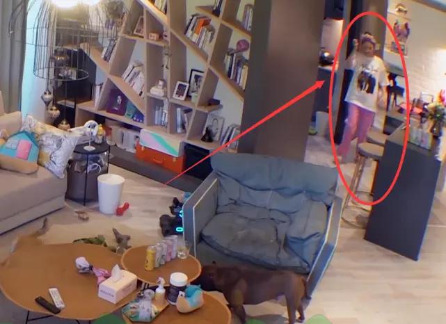 陈乔恩推荐的蓝色面膜,陈乔恩用的提拉面膜