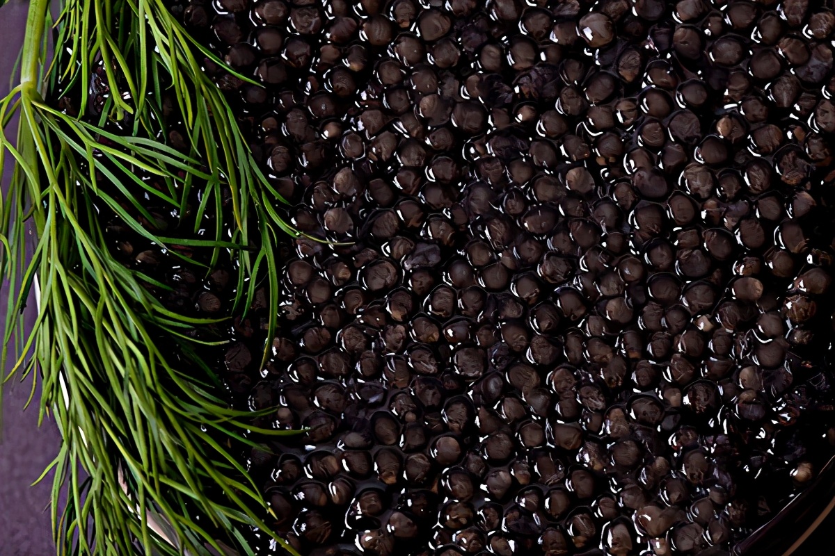 “鲟”味之旅：鱼子酱邀您一同开启味觉盛宴