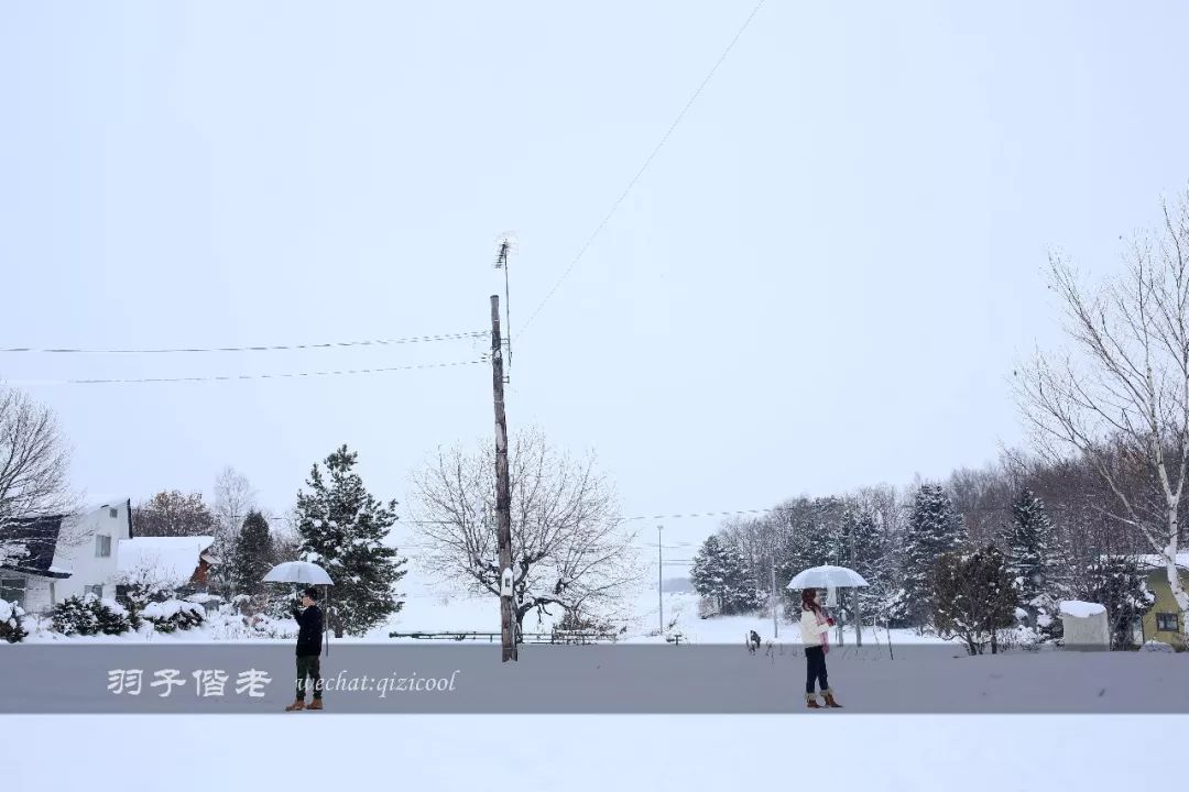 老实说,这一趟北海道就是为了拍好看的照片去的