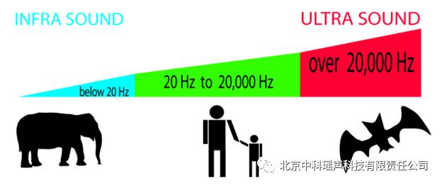 b超为什么有声音,为什么听不到b超的声音