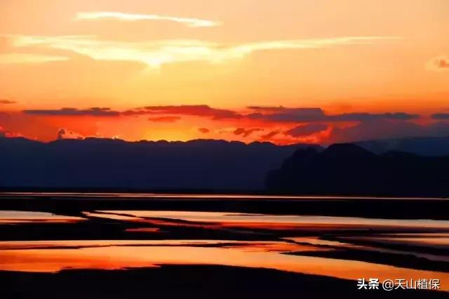 新疆的南疆图木舒克属于阿克苏吗,新疆图木舒克城市风景