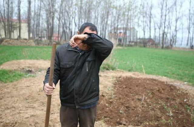 农村墓地改造政策,农村坟墓怎么改革