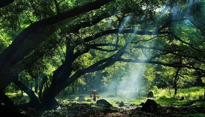 国学经典50句做人做事必看,为人处世的国学经典语录