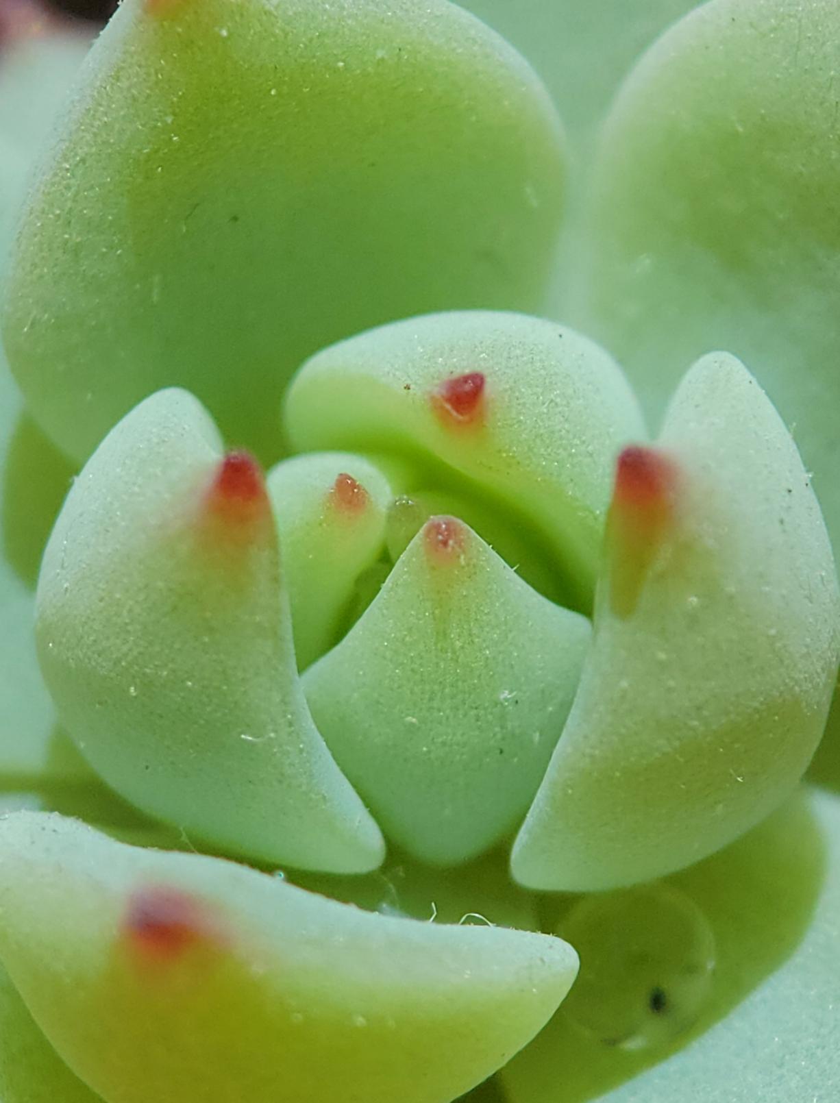 3399入手三星s22,5699买三星s23