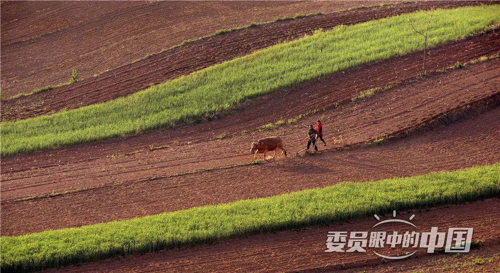 美丽中国中国篇,美丽中国双碳有我主题范文800字