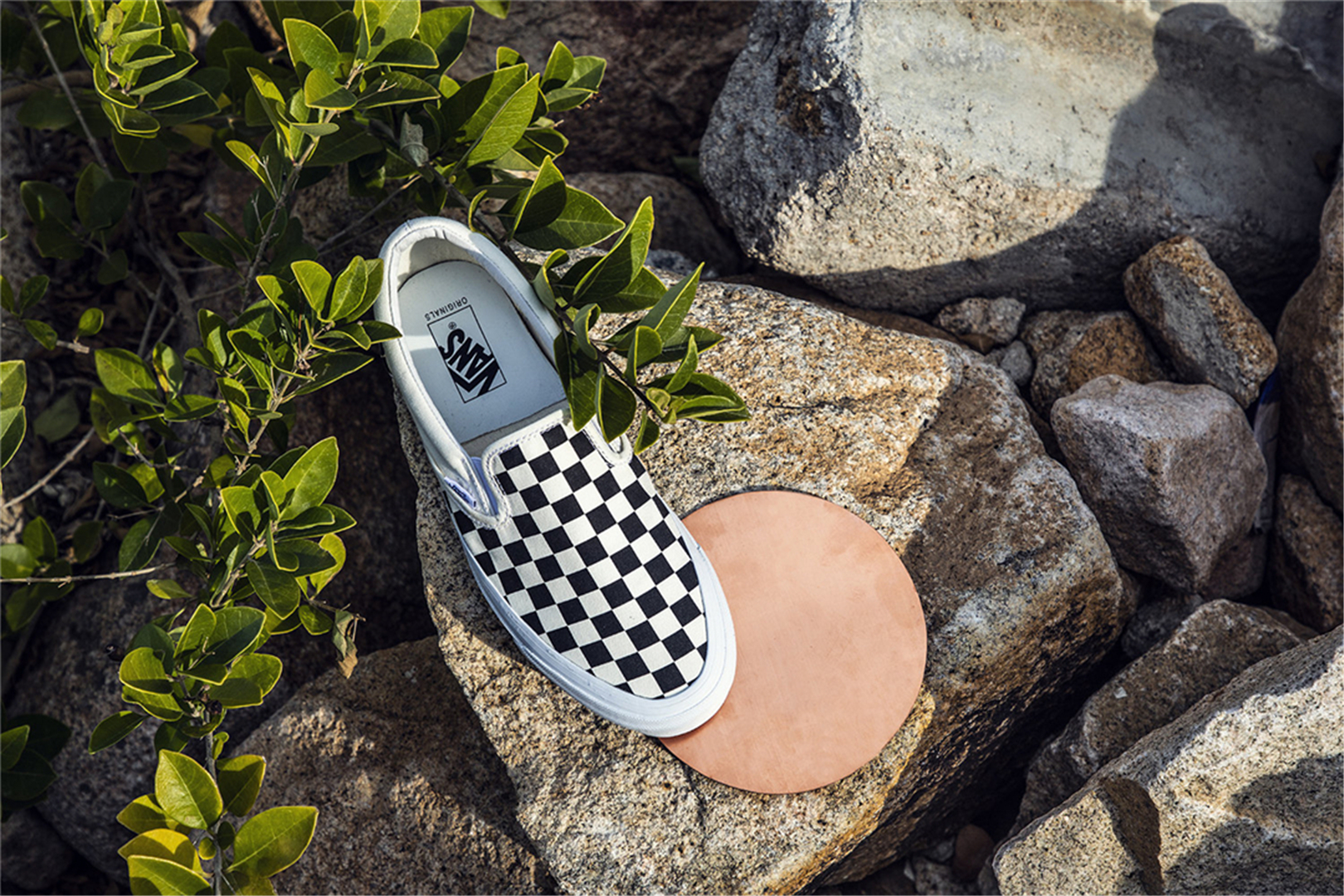 vans掉落神坛,vans17年封神之作