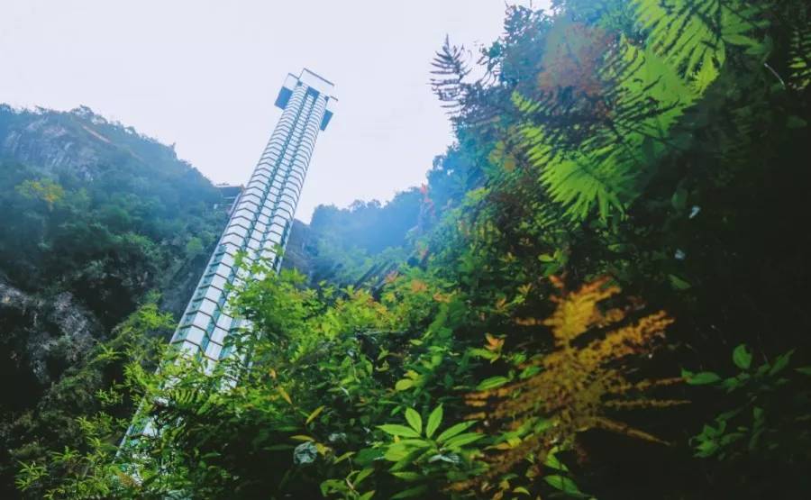 阿依河团购门票,阿依河门票优惠是要线下买票吗
