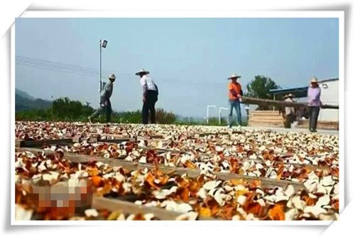 这个医药品牌的诞生颇具传奇，走过400余年风雨路，历久弥新