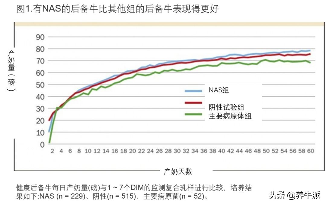 母牛乳房炎是什么菌引起,牛二级乳房炎的症状与表现