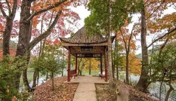 江西十大旅游秘境,春节绍兴去江西十大最美自驾路线