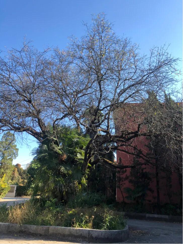 不该消失的电影,昆四中属于什么档次