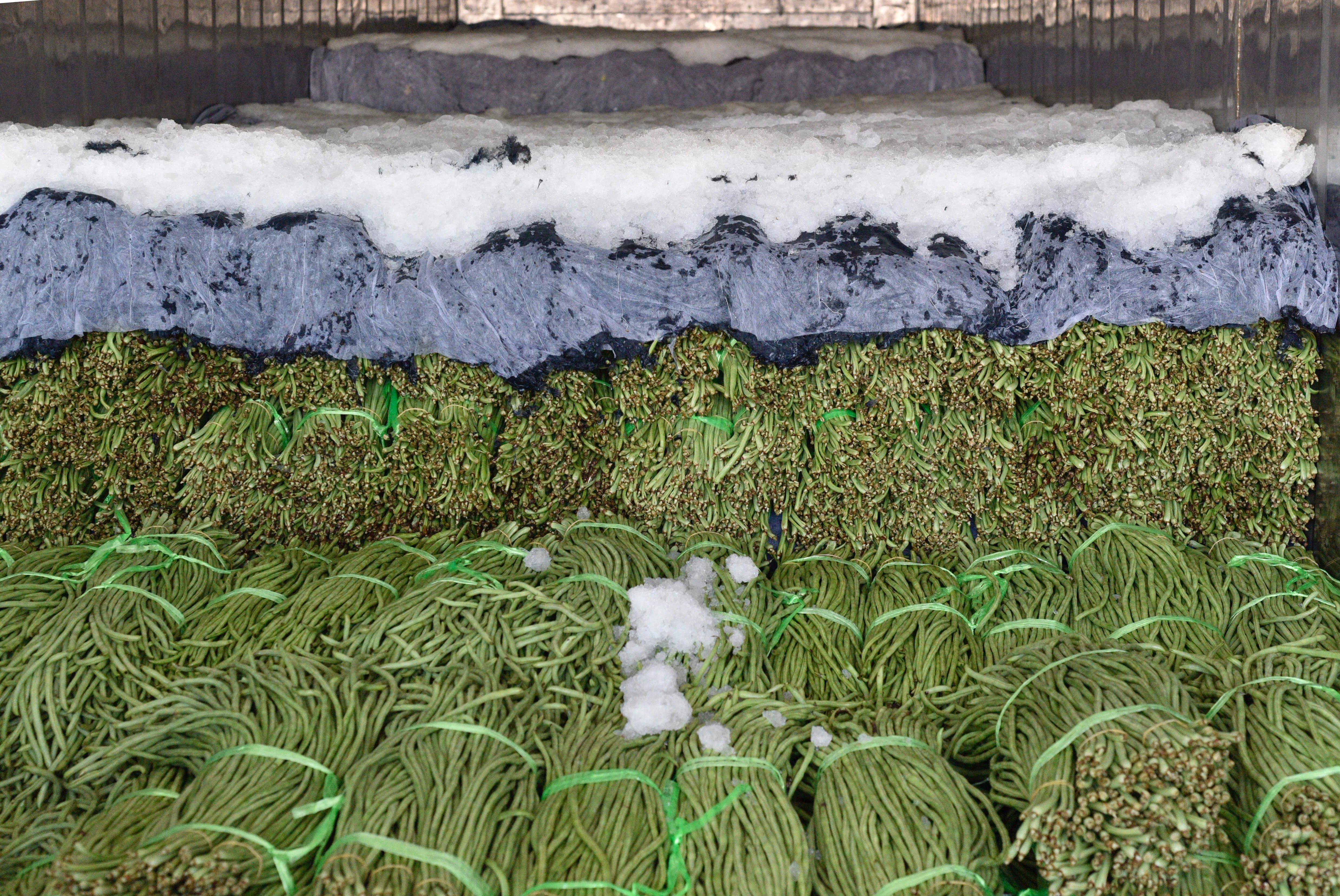 什么蔬菜灭绝了,盘点那些曾经的蔬菜