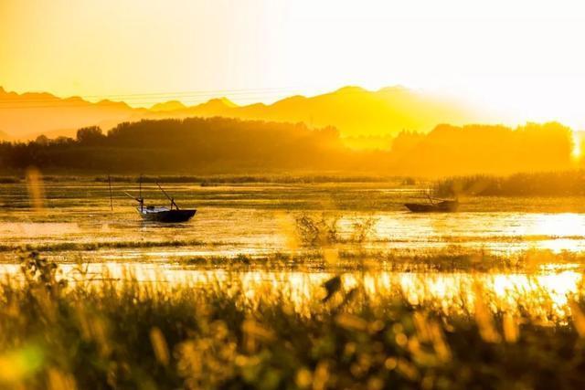 十句诗词写尽人生沧桑,人间情怀最经典十首诗词大全