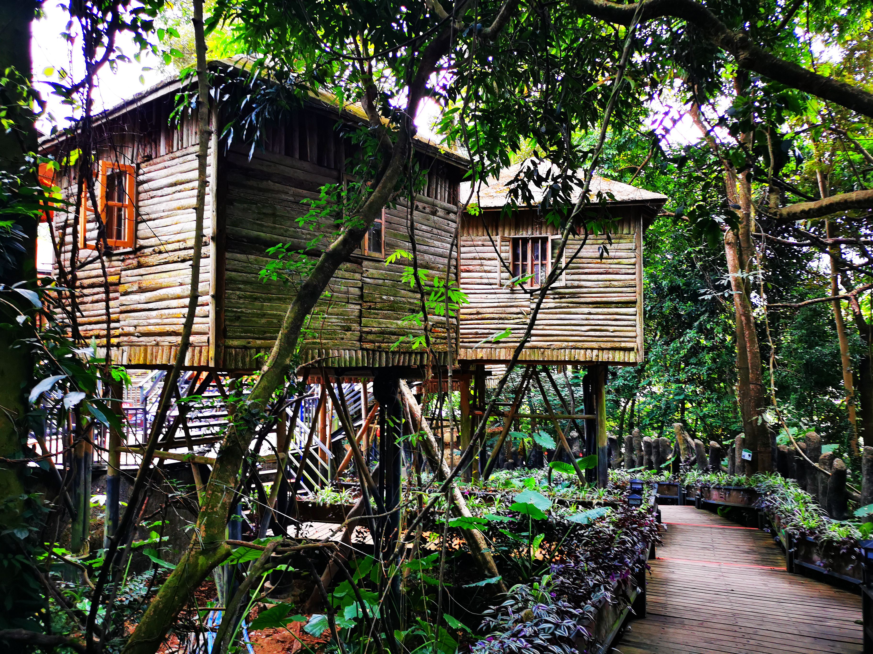 英德天门沟九州驿站套餐,英德九州驿站树上温泉