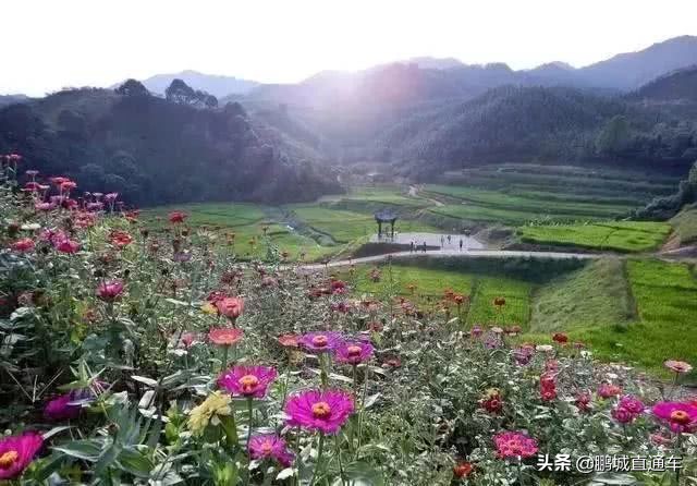 深圳周边适合10-15人玩乐的地方,深圳周边两天一夜的旅游地方推荐