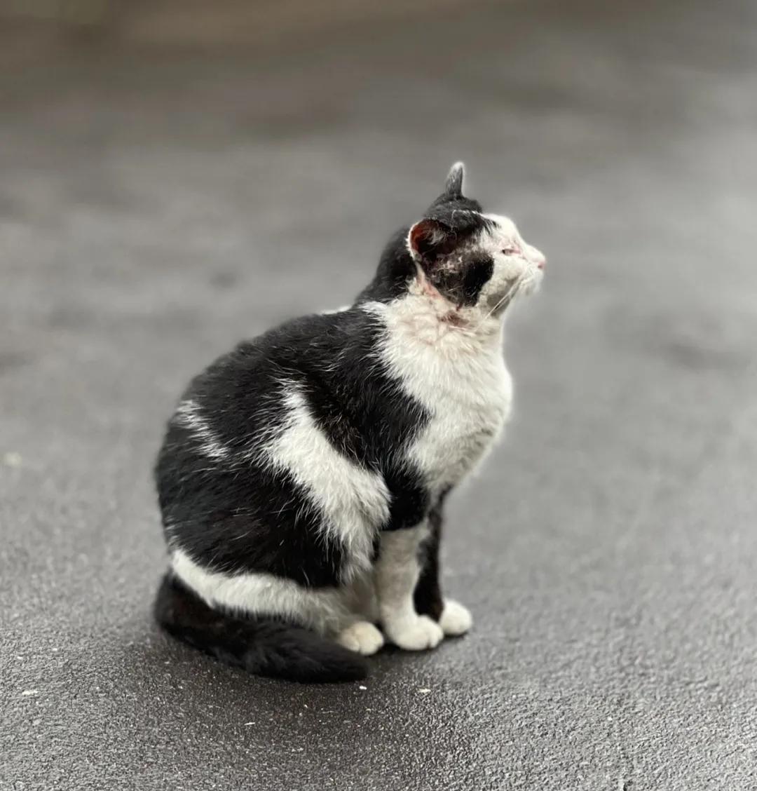 一次惬意的厦门之行,一家三口厦门玩四天