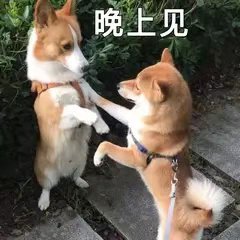 灏忕背娣卞緱浜哄績,娣卞緱姘戝績灏忕背