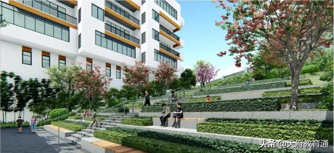 天府新区教育发展,天府新区天府学校