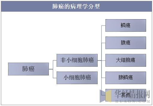 针对肺癌靶向治疗药物哪个药最好,中国2022年治疗肺癌有新的突破吗