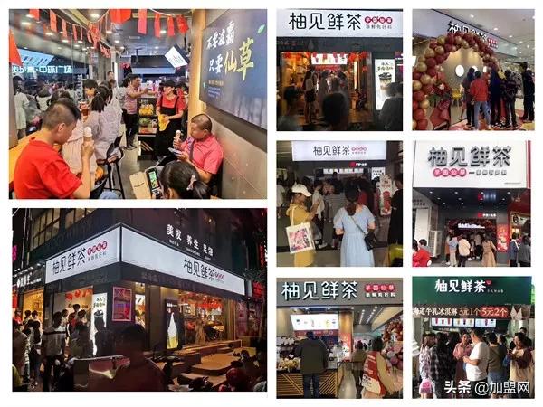 茶饮加盟如何快速开店,2024鲜奶茶加盟招商