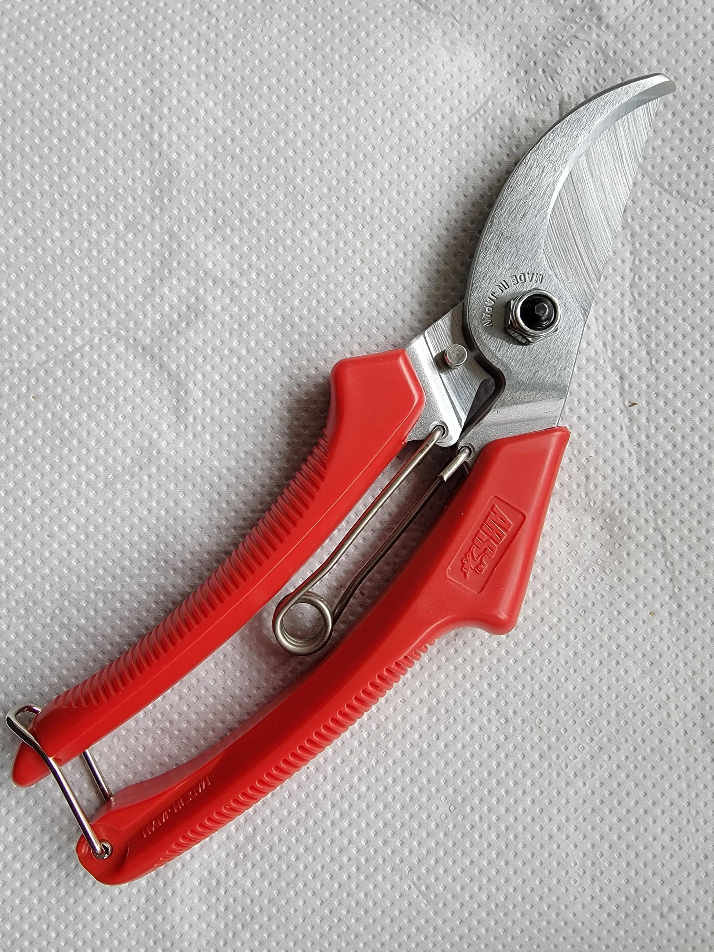 切参的正确方法,自己切人参