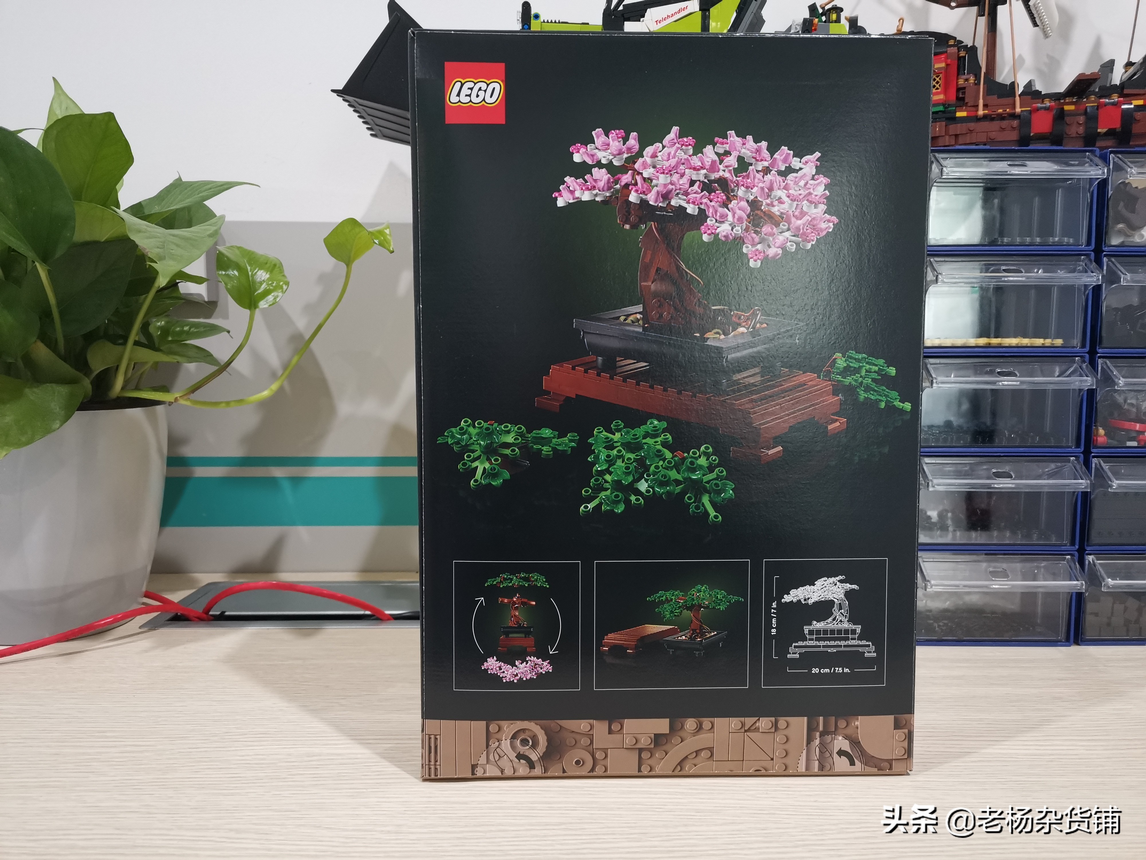 lego花卉艺术,lego乐高植物