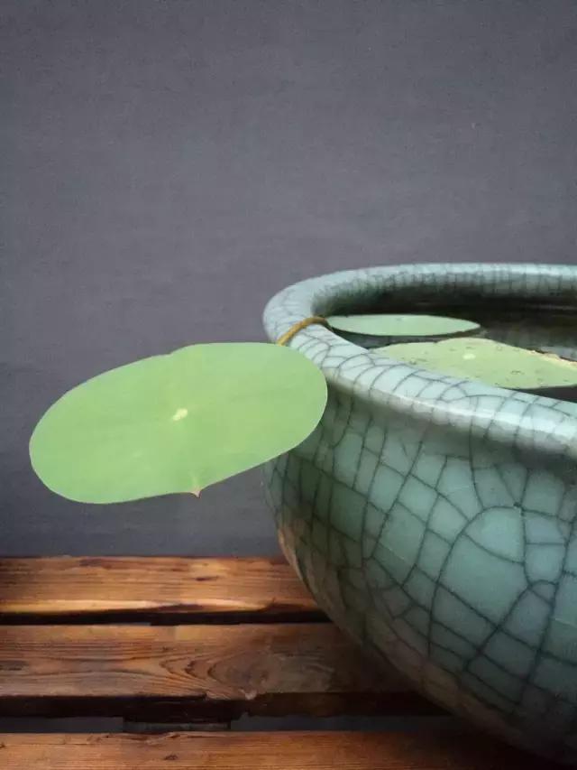 平房小户型房屋改造,40平出租房改造图片