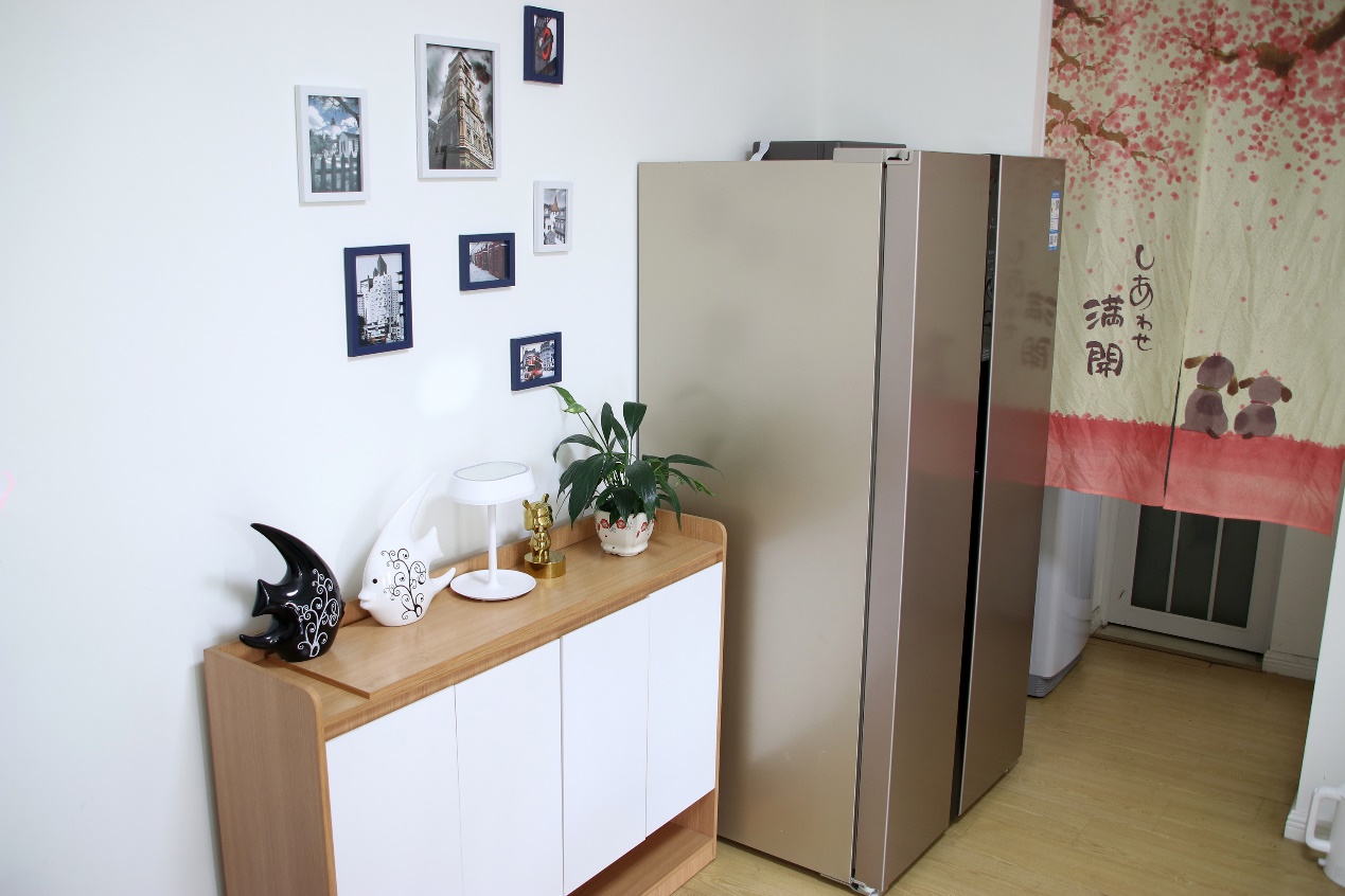 风冷变频双循环大容量美的冰箱,美的超薄冰箱深度60cm评测