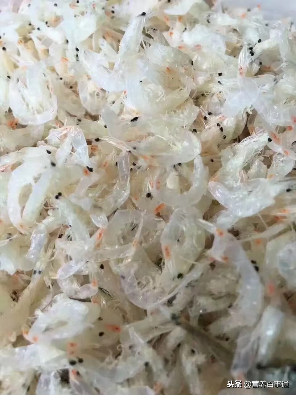 黑芝麻和虾皮补钙吗,磷虾和虾皮哪个补钙