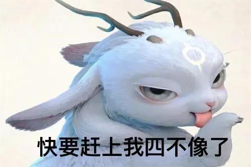 四川话用不了多久,四川话还有多长时间消失