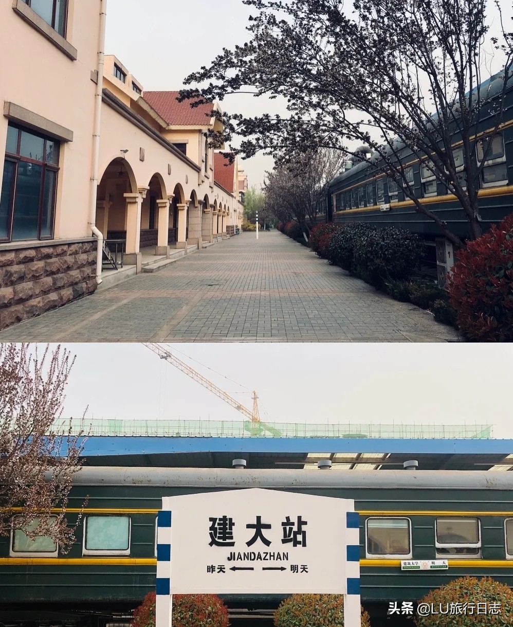 2023山东高考大学推荐,高考学子看过来