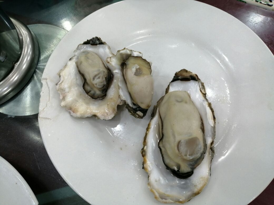 适合南戴河之旅的音乐,南戴河欢乐之旅