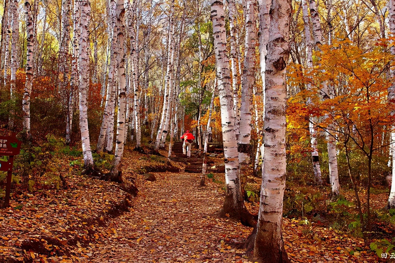 北京喇叭沟门,北京喇嘛沟门游玩