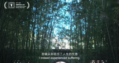 8.1良心作，输给3.4年度烂片