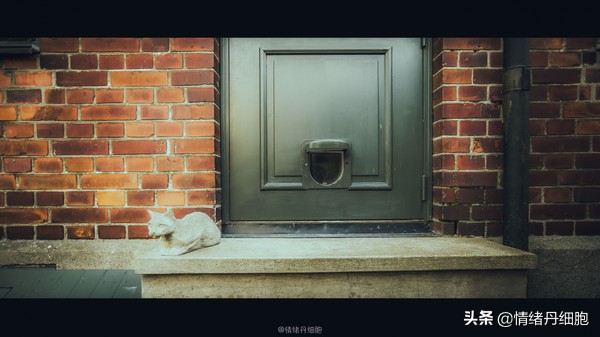 可以去玩一整天的地方,能玩一两天的地方