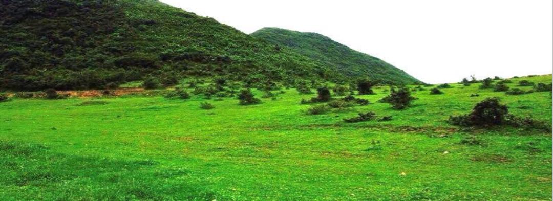 安徽九坝生态度假区,甘肃九坝生态度假区