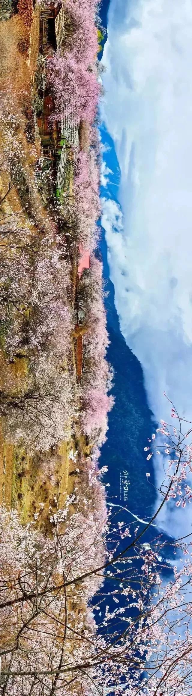 8月最佳旅行地推荐自驾游,4-5月份最佳的自驾短途旅行