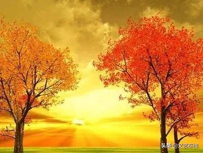 中国诗词大会描写秋天的诗句,诗词秋天朗诵大气