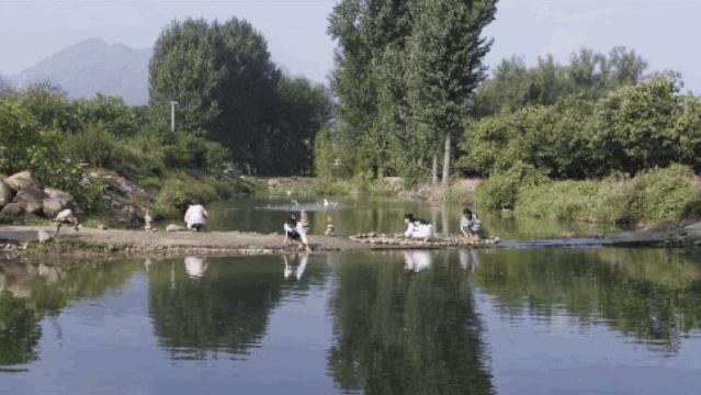 北京京郊女孩抱团养老村,北京山里抱团养老