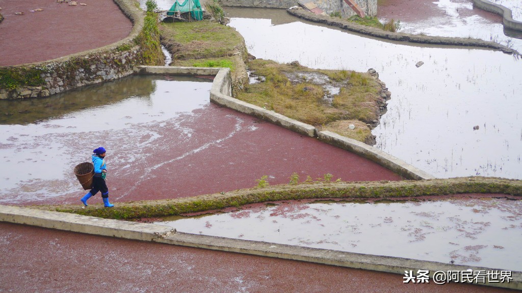 云南普者黑元阳坝美6天旅游攻略,云南建水普者黑旅游路线