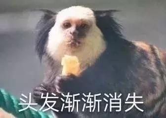 脱发秃顶真的没得救了吗,秃顶脱发有药救吗