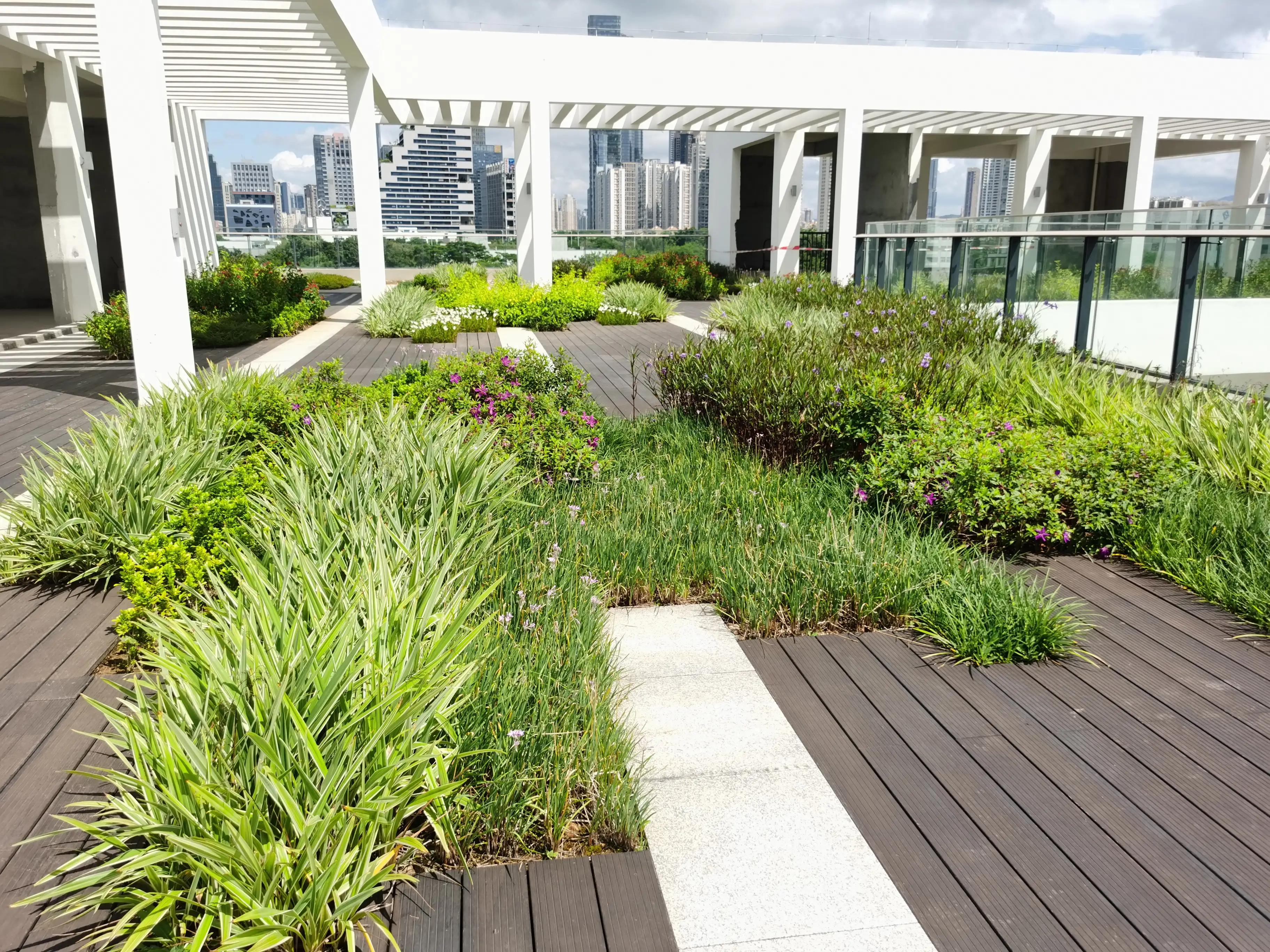 海滨生态公园足球场,深圳足球生态体育公园