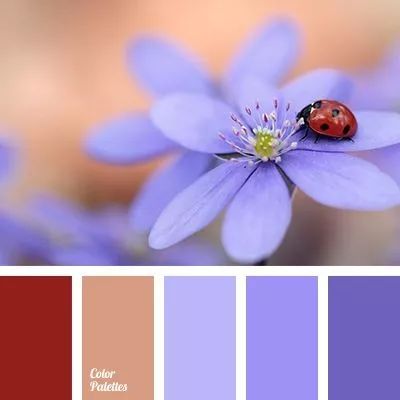 成为花艺师需要具备哪些条件,想当花艺师可以考什么学校