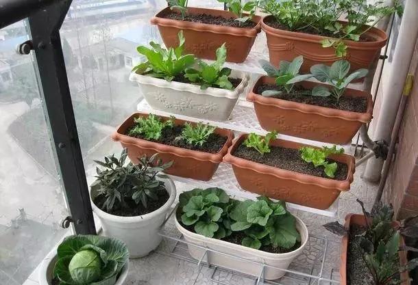 涓喍浜戝鐙爧,涓喍浜戠瓚鍒