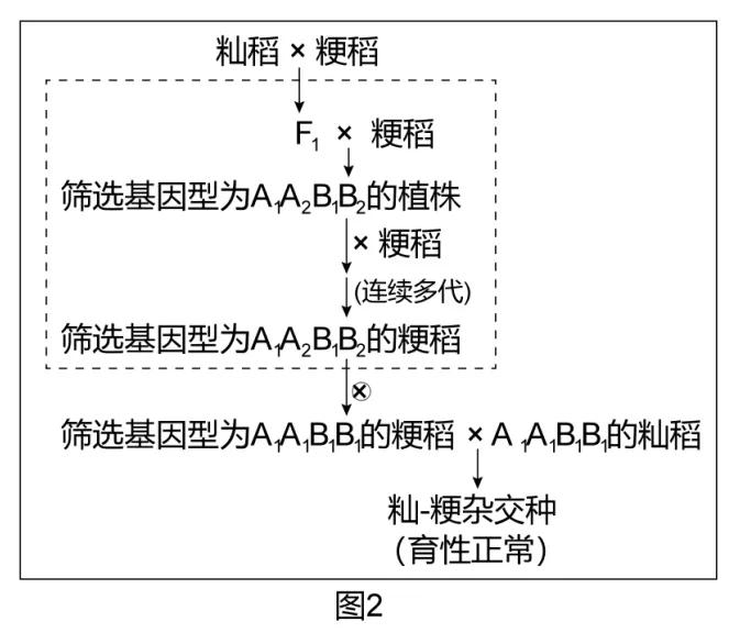2020北京卷生物高考,北京高考生物试卷难吗