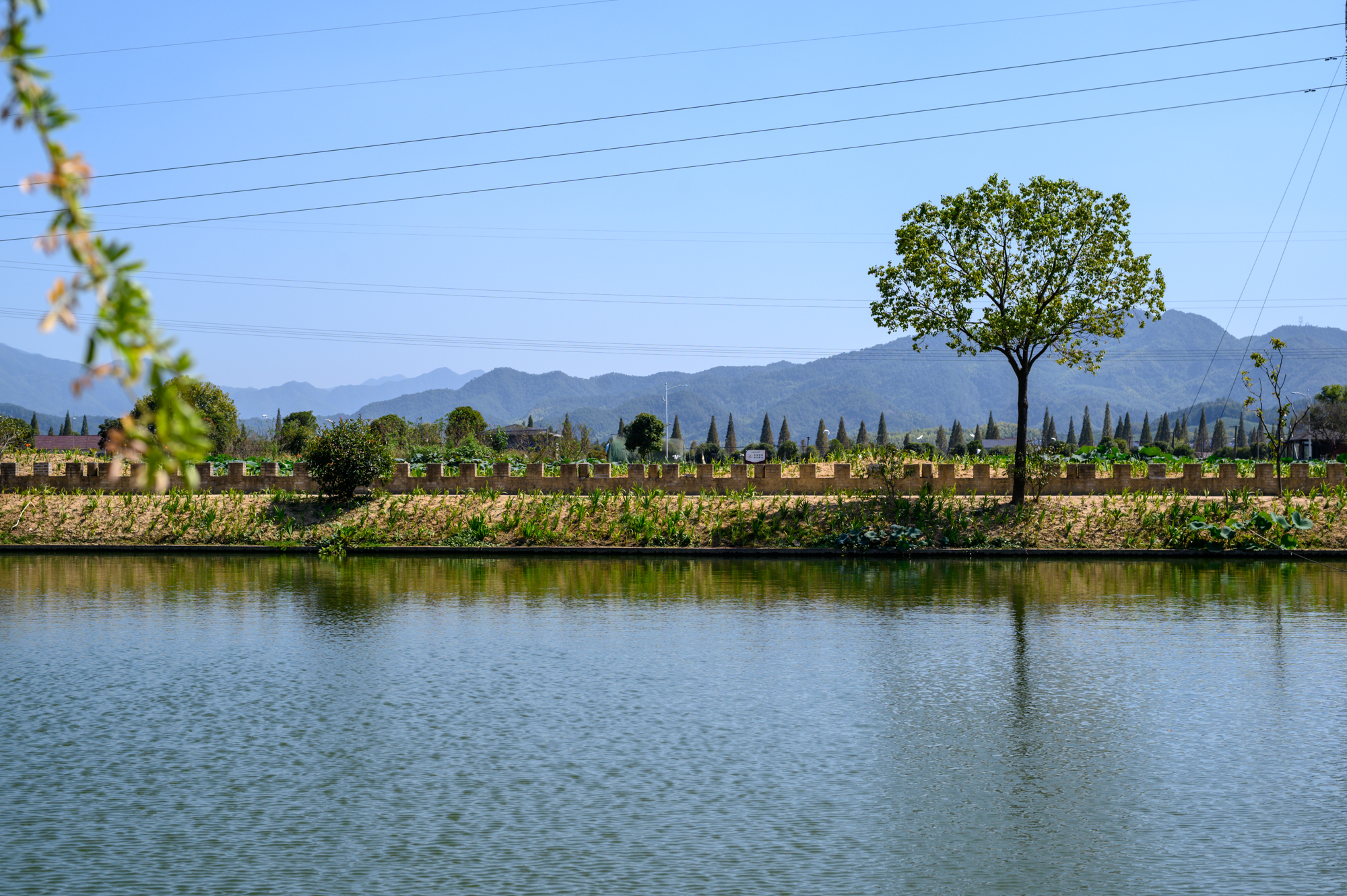 衢州十大旅游景点,衢州龙游湖镇旅游景点