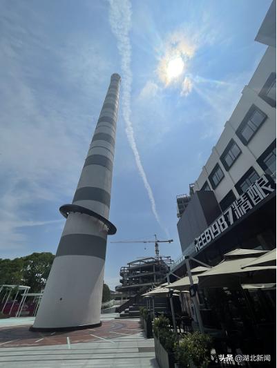 龙小红讲话,龙小红演讲