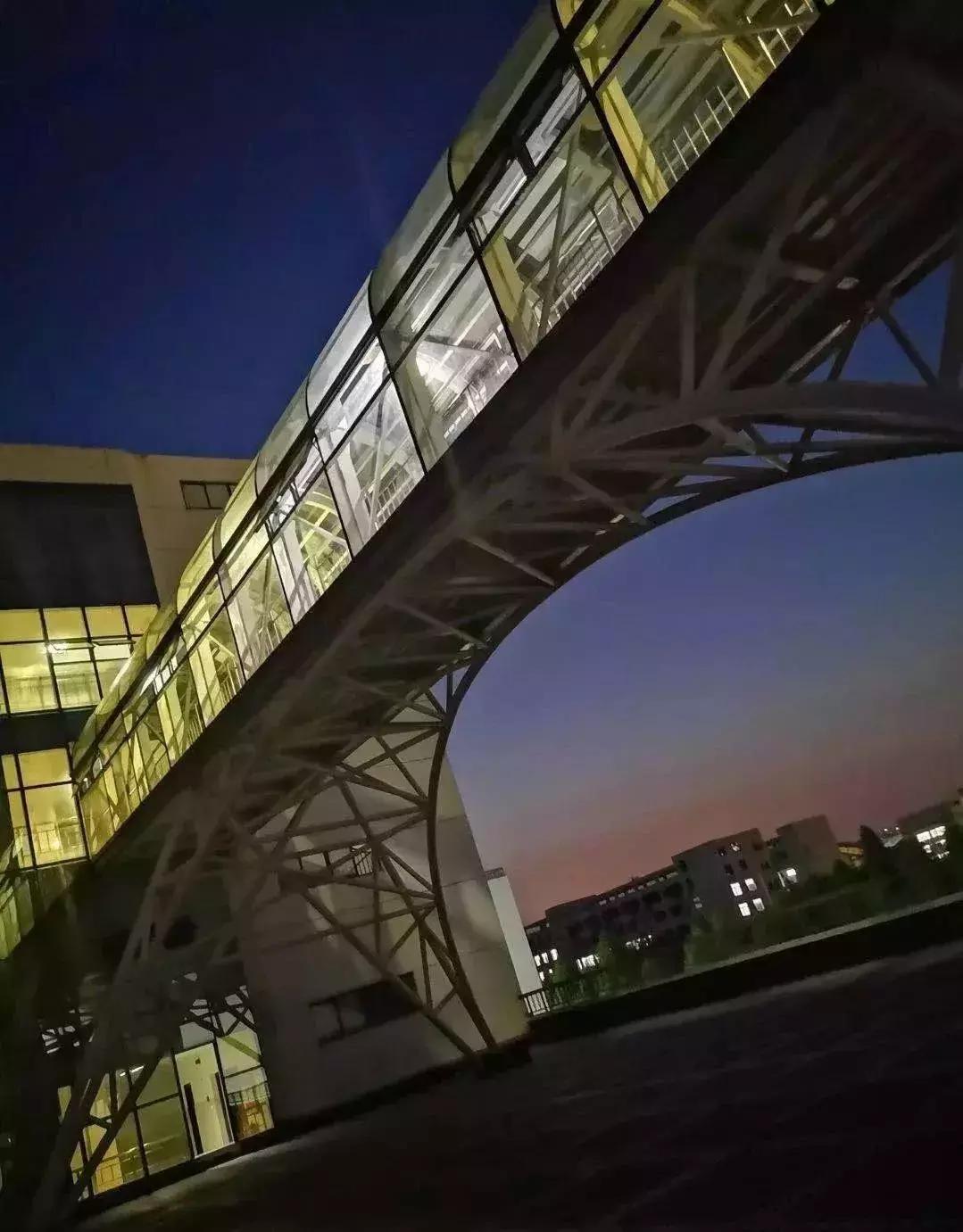 安财,我走了,请别为我哭泣