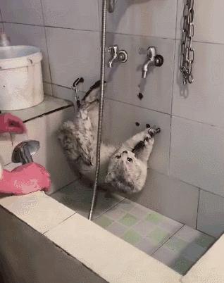 多久洗一次澡才最好？医生给出了最佳答案