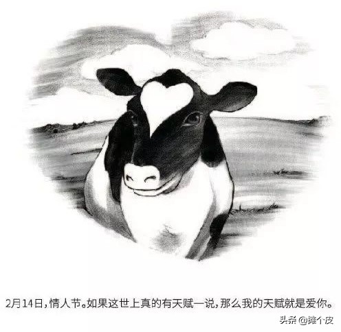 不同寻常的520文案,直白且现实的520文案